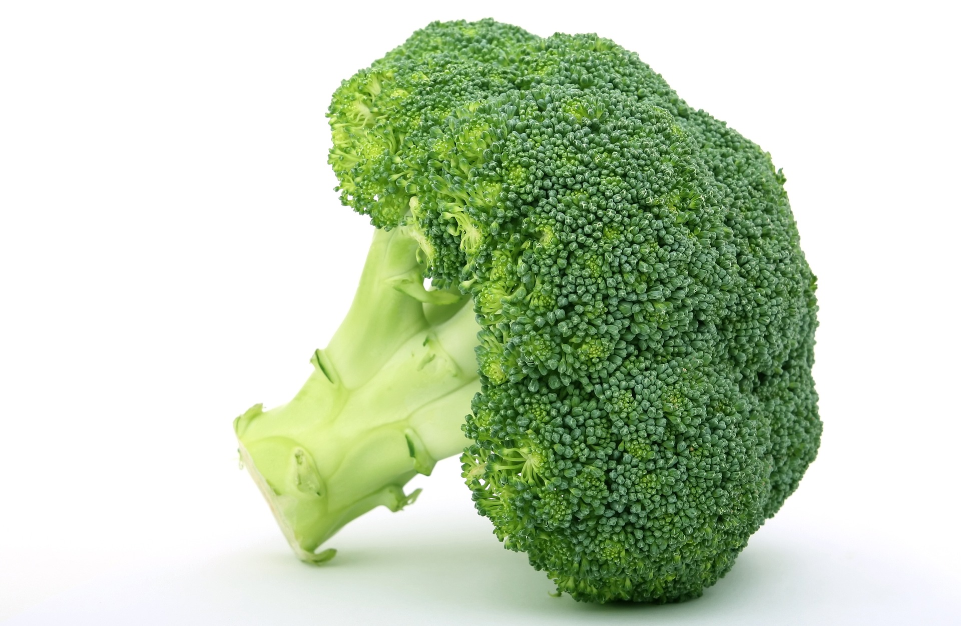 broccoli crown and stem 