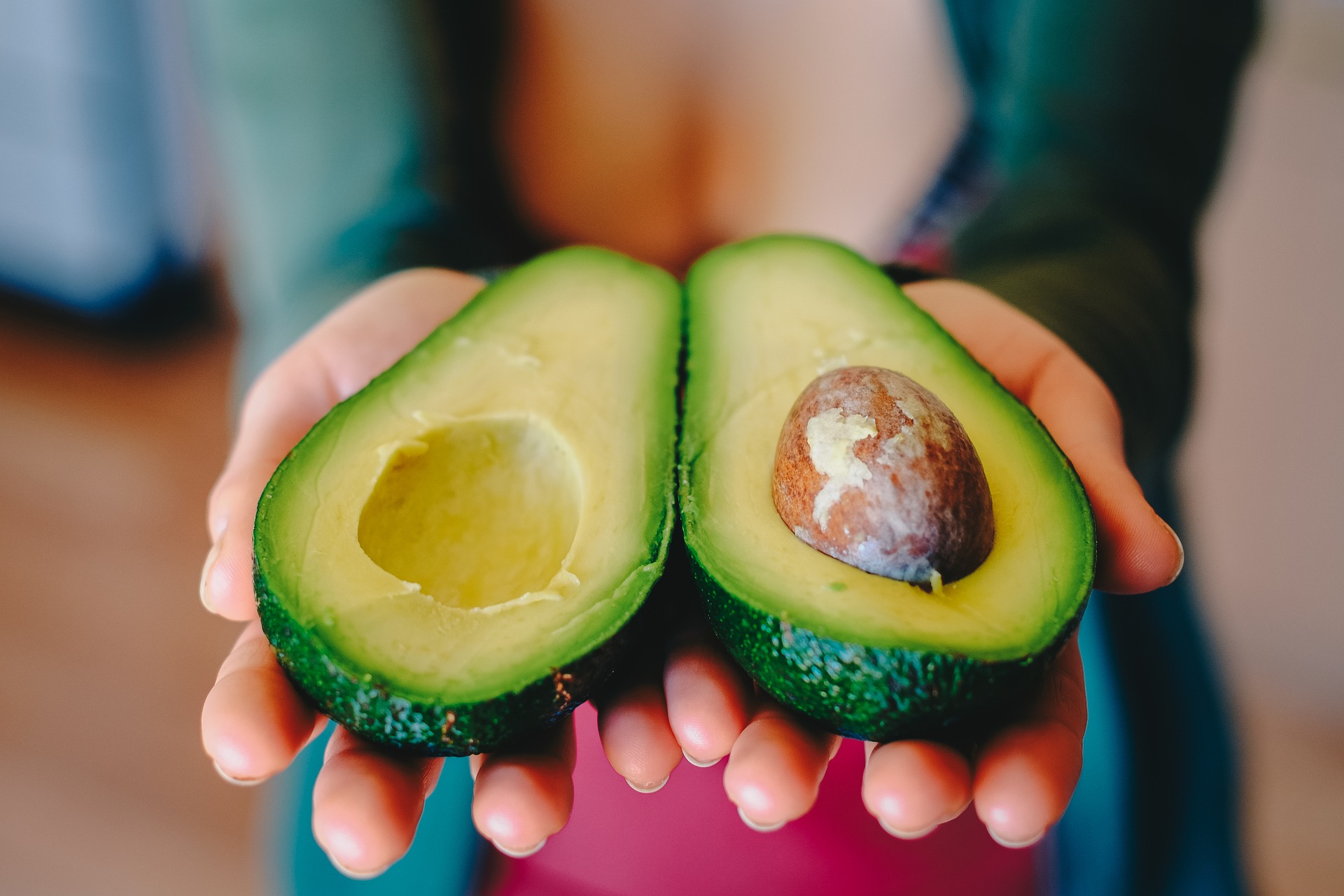 Woman's hands holding one ripe avocado cut into halves with pit still inside 