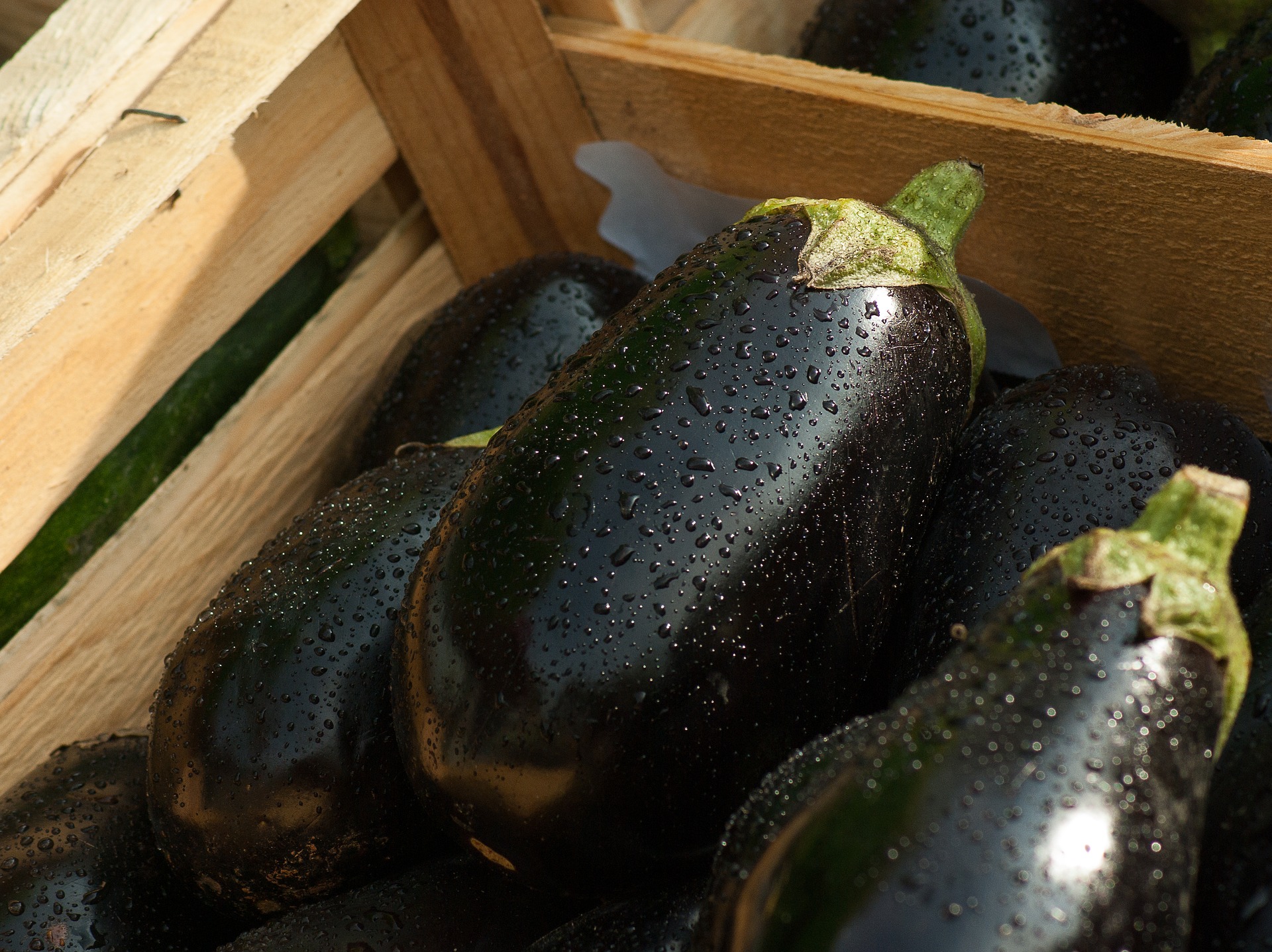 eggplants with water spots in a wooden crate